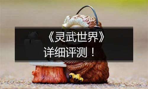 《灵武世界》详细评测！