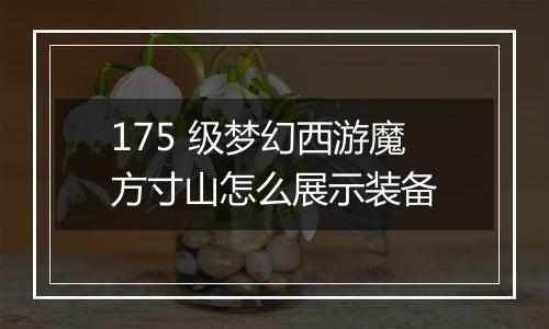 175 级梦幻西游魔方寸山怎么展示装备