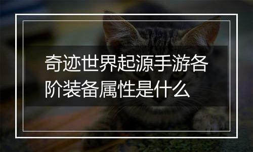 奇迹世界起源手游各阶装备属性是什么