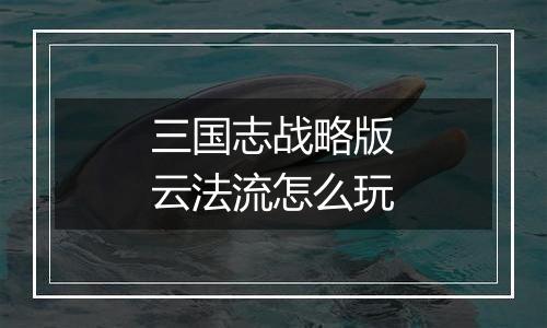 三国志战略版云法流怎么玩