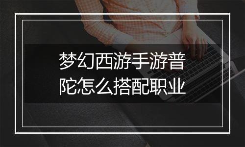 梦幻西游手游普陀怎么搭配职业