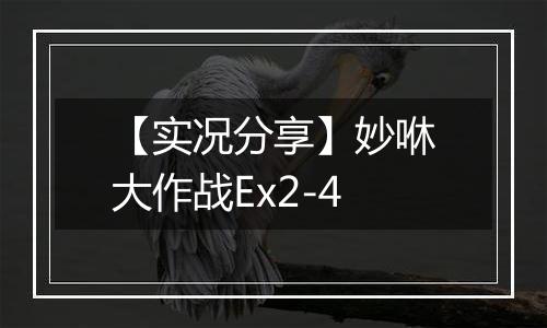 【实况分享】妙咻大作战Ex2-4