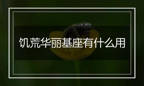 饥荒华丽基座有什么用