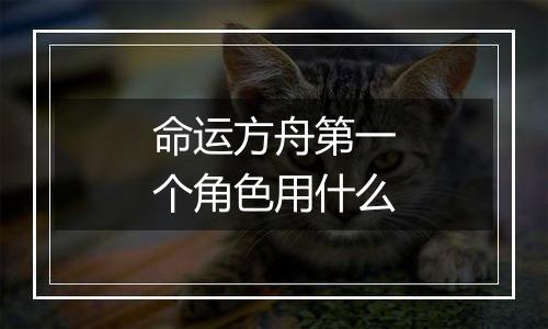 命运方舟第一个角色用什么