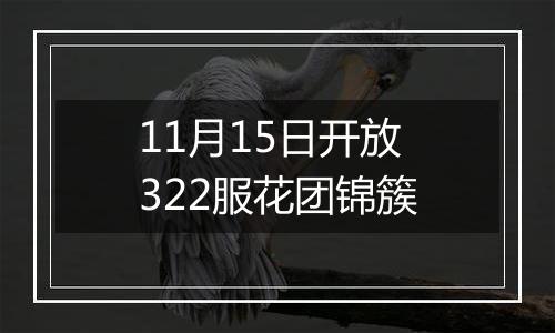 11月15日开放322服花团锦簇