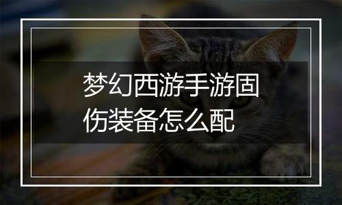 梦幻西游手游固伤装备怎么配