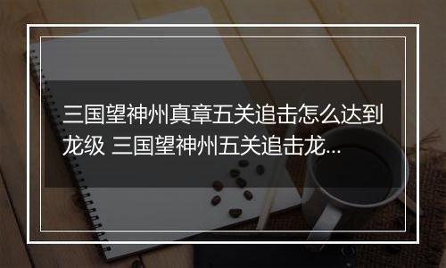 三国望神州真章五关追击怎么达到龙级 三国望神州五关追击龙级攻略