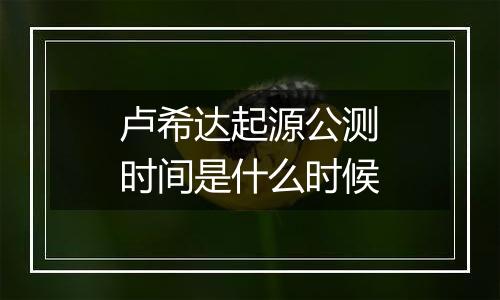 卢希达起源公测时间是什么时候