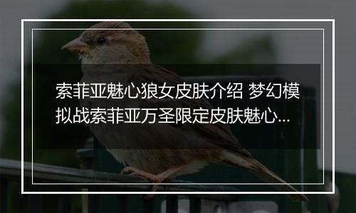 索菲亚魅心狼女皮肤介绍 梦幻模拟战索菲亚万圣限定皮肤魅心狼女怎么样