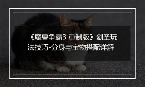 《魔兽争霸3 重制版》剑圣玩法技巧-分身与宝物搭配详解