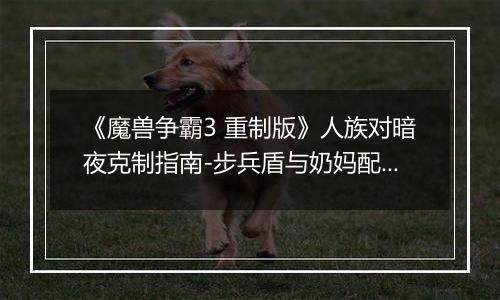 《魔兽争霸3 重制版》人族对暗夜克制指南-步兵盾与奶妈配合详解