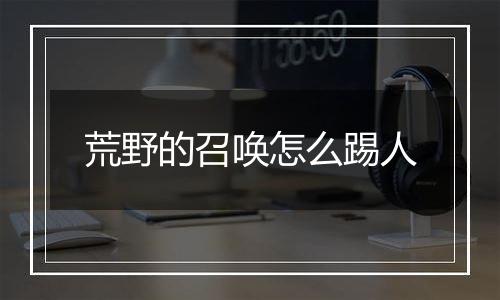 荒野的召唤怎么踢人