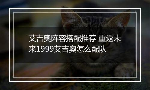 艾吉奥阵容搭配推荐 重返未来1999艾吉奥怎么配队