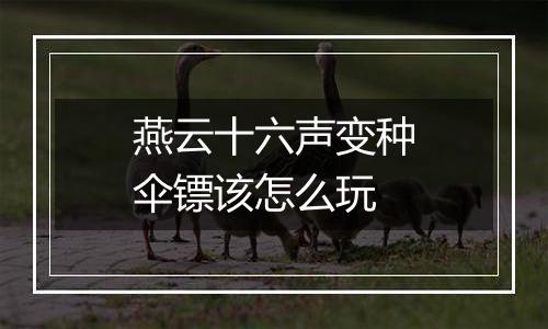 燕云十六声变种伞镖该怎么玩