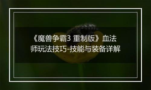 《魔兽争霸3 重制版》血法师玩法技巧-技能与装备详解