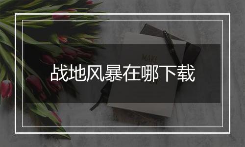战地风暴在哪下载