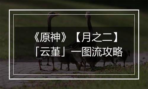 《原神》【月之二】「云堇」一图流攻略