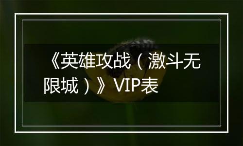 《英雄攻战（激斗无限城）》VIP表