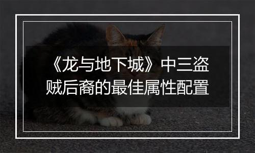 《龙与地下城》中三盗贼后裔的最佳属性配置