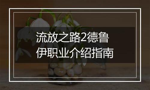 流放之路2德鲁伊职业介绍指南