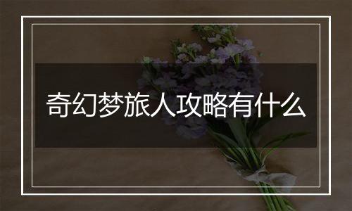奇幻梦旅人攻略有什么
