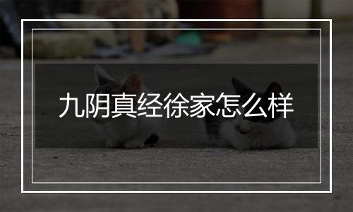 九阴真经徐家怎么样