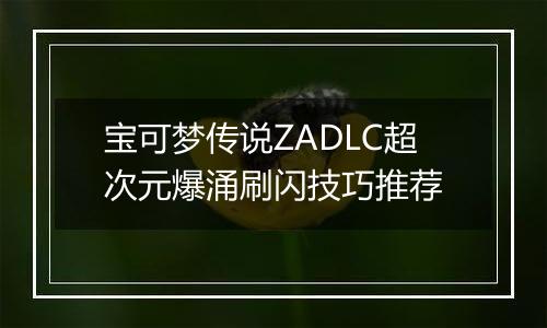 宝可梦传说ZADLC超次元爆涌刷闪技巧推荐