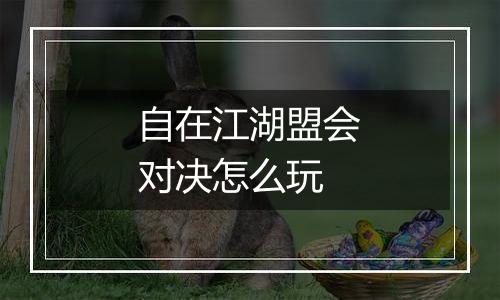 自在江湖盟会对决怎么玩