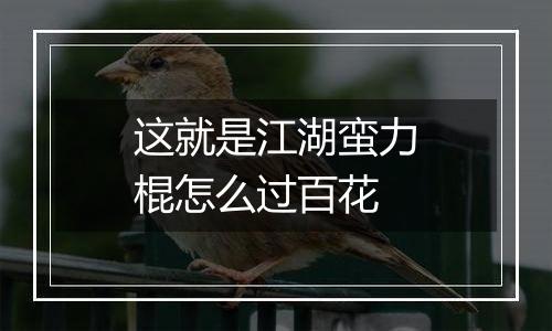 这就是江湖蛮力棍怎么过百花