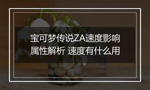 宝可梦传说ZA速度影响属性解析 速度有什么用