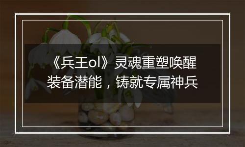 《兵王ol》灵魂重塑唤醒装备潜能，铸就专属神兵