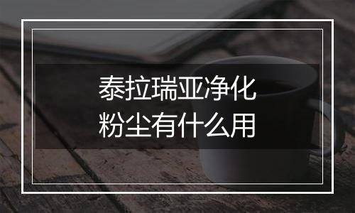 泰拉瑞亚净化粉尘有什么用