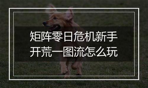 矩阵零日危机新手开荒一图流怎么玩