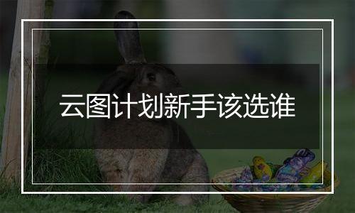 云图计划新手该选谁