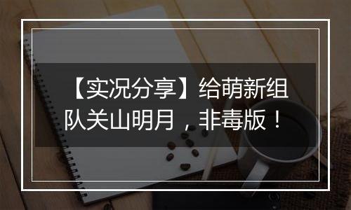 【实况分享】给萌新组队关山明月，非毒版！