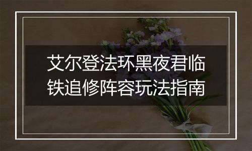 艾尔登法环黑夜君临铁追修阵容玩法指南