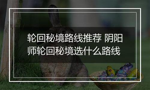轮回秘境路线推荐 阴阳师轮回秘境选什么路线