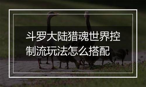 斗罗大陆猎魂世界控制流玩法怎么搭配