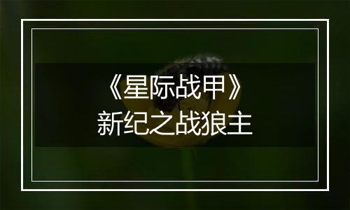 《星际战甲》新纪之战狼主