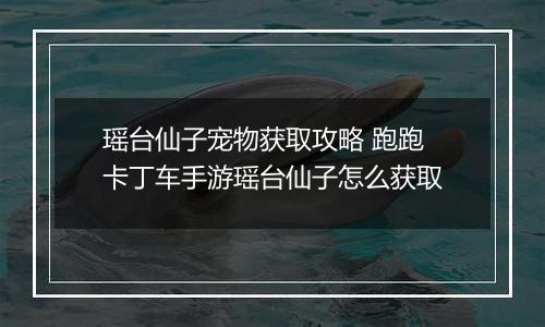 瑶台仙子宠物获取攻略 跑跑卡丁车手游瑶台仙子怎么获取