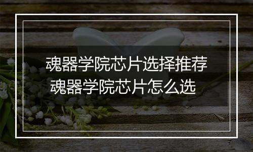 魂器学院芯片选择推荐 魂器学院芯片怎么选