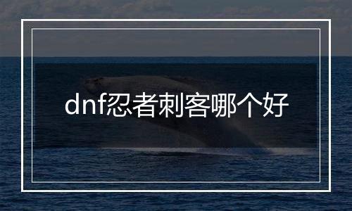 dnf忍者刺客哪个好