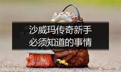 沙威玛传奇新手必须知道的事情