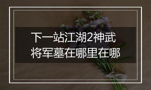 下一站江湖2神武将军墓在哪里在哪