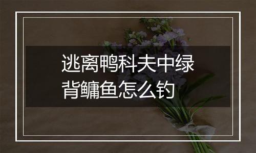 逃离鸭科夫中绿背鳙鱼怎么钓