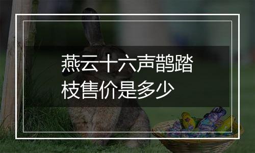 燕云十六声鹊踏枝售价是多少