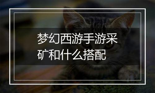 梦幻西游手游采矿和什么搭配