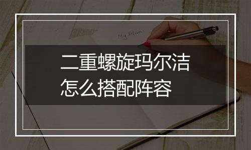 二重螺旋玛尔洁怎么搭配阵容