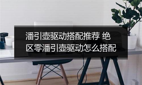 潘引壶驱动搭配推荐 绝区零潘引壶驱动怎么搭配