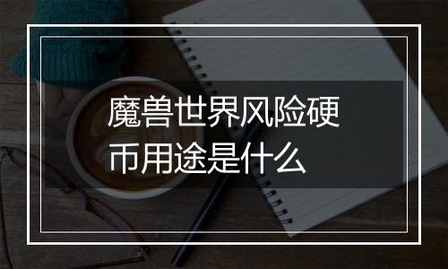 魔兽世界风险硬币用途是什么